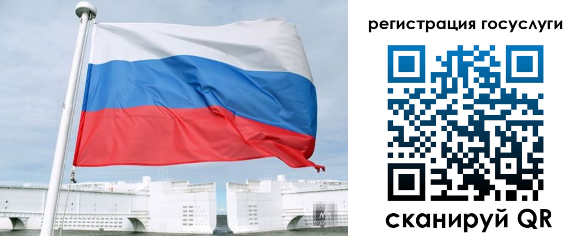 временная регистрация поиск в Калужской области